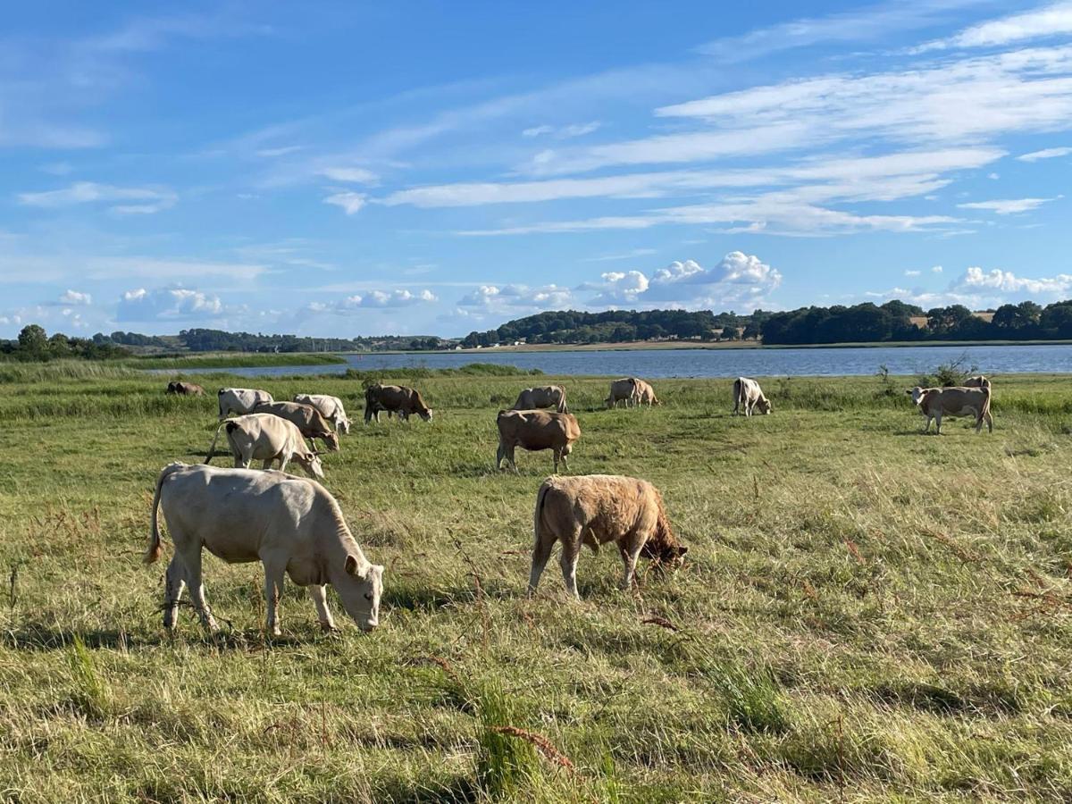 Dat-Klinkerhus Glowe Exteriér fotografie